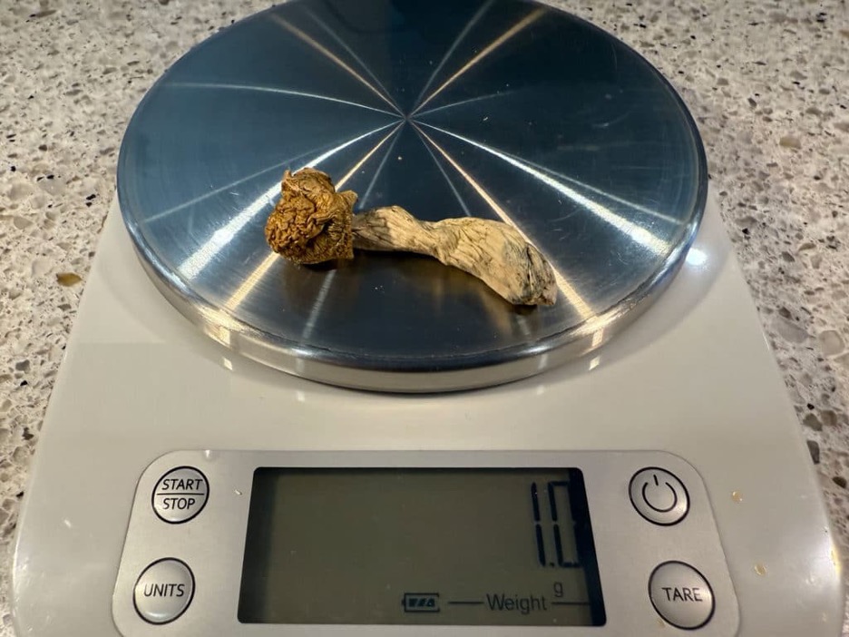 Спокійне терапевтичне середовище під час сесії з psilocybin