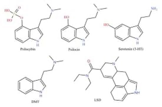 Psilocybin та серотонінові рецептори