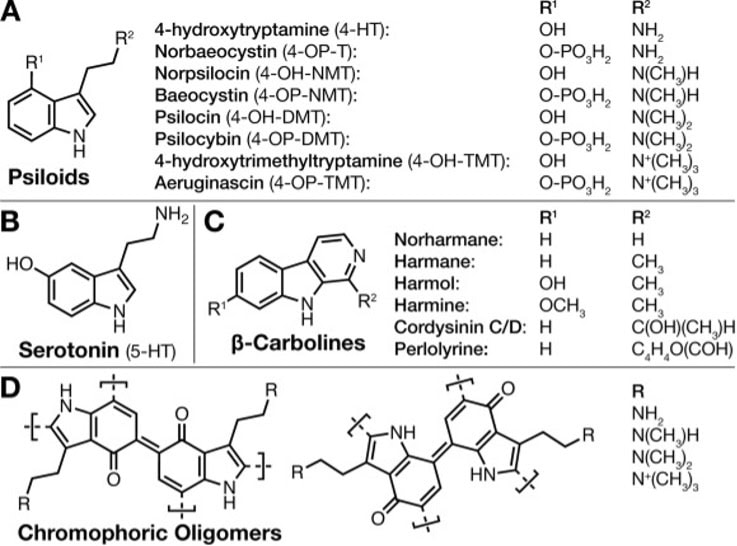 Медичне використання psilocybin