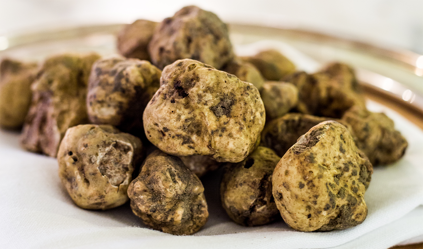 Truffle grading and quality control in legal Dutch supply chains