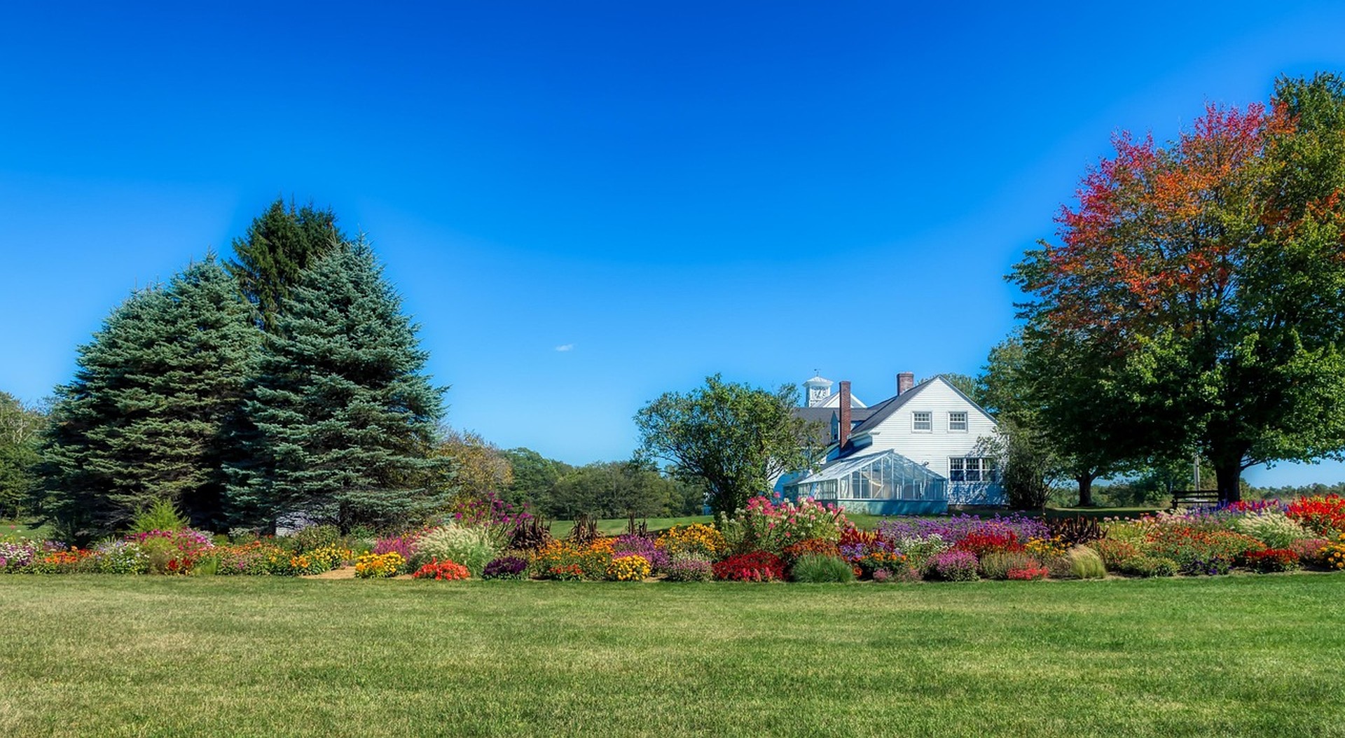 Benzodiazepines and psychedelics: anxiety management before a retreat
